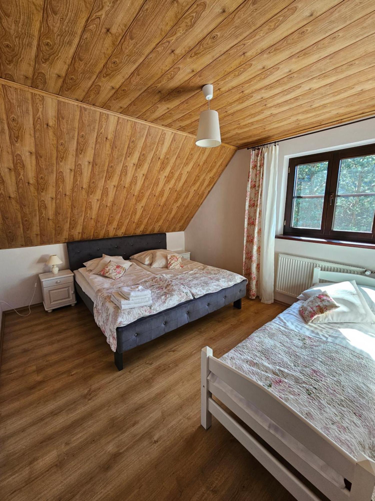 Willa Wzgorze Nedec Kültér fotó